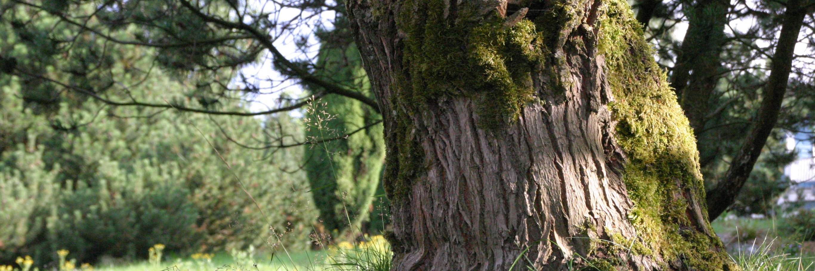 Ortsteile Gemeinde Hohenahr