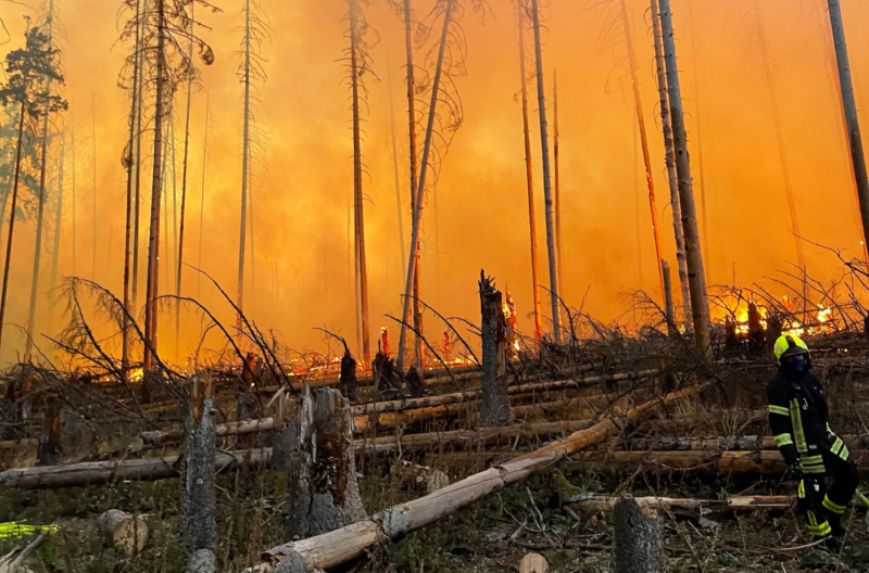 Naturkatastrophen, wie zwei großflächige Waldbrände, haben den Lahn-Dill-Kreis im Jahr 2022 in Atem gehalten.
