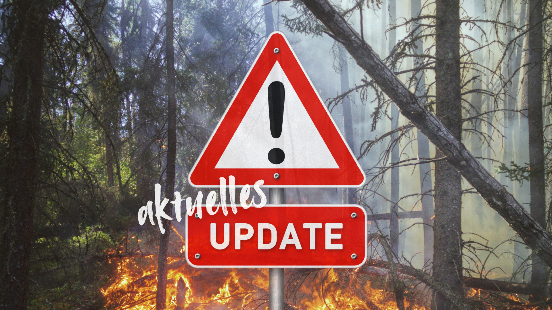 Aktuelles Update Waldbrand