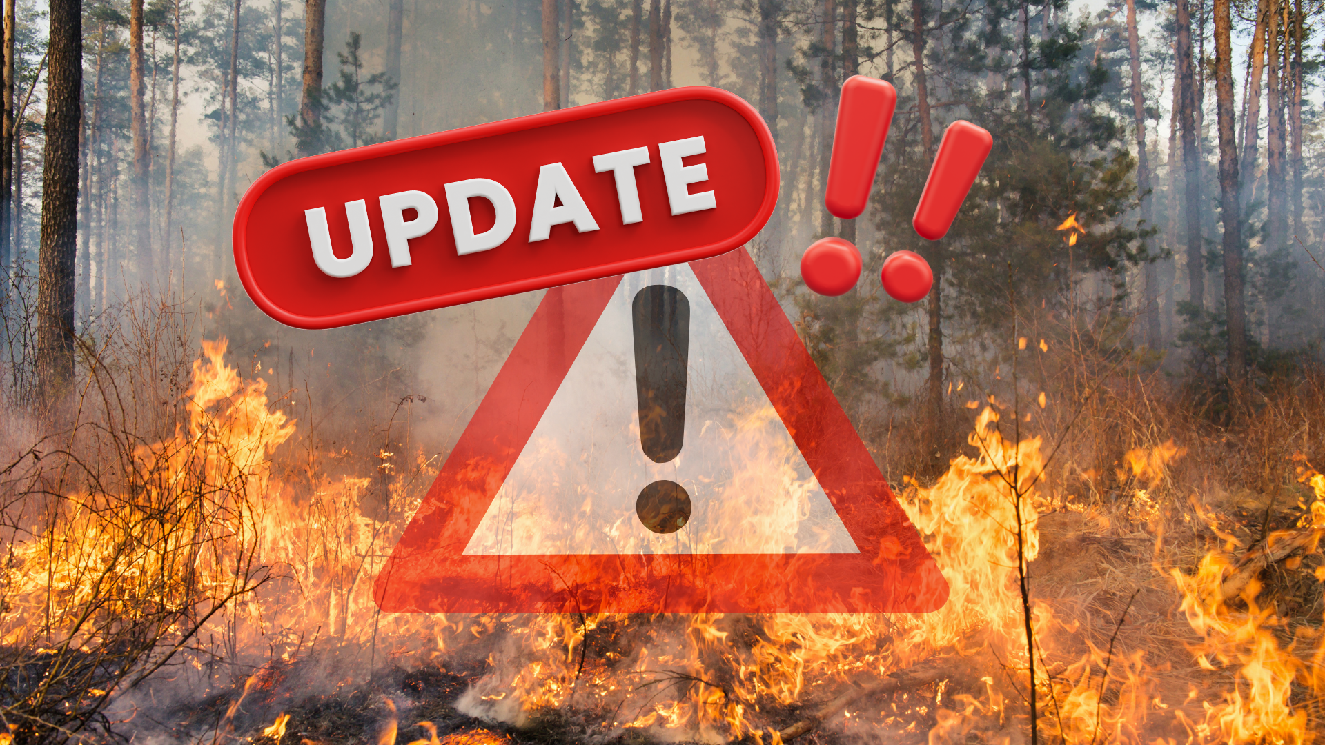 Waldbrand Update