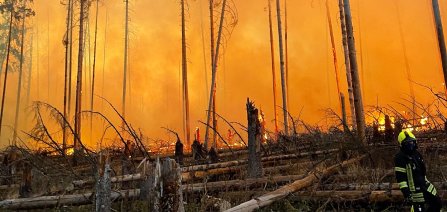 Naturkatastrophen, wie zwei großflächige Waldbrände, haben den Lahn-Dill-Kreis im Jahr 2022 in Atem gehalten.